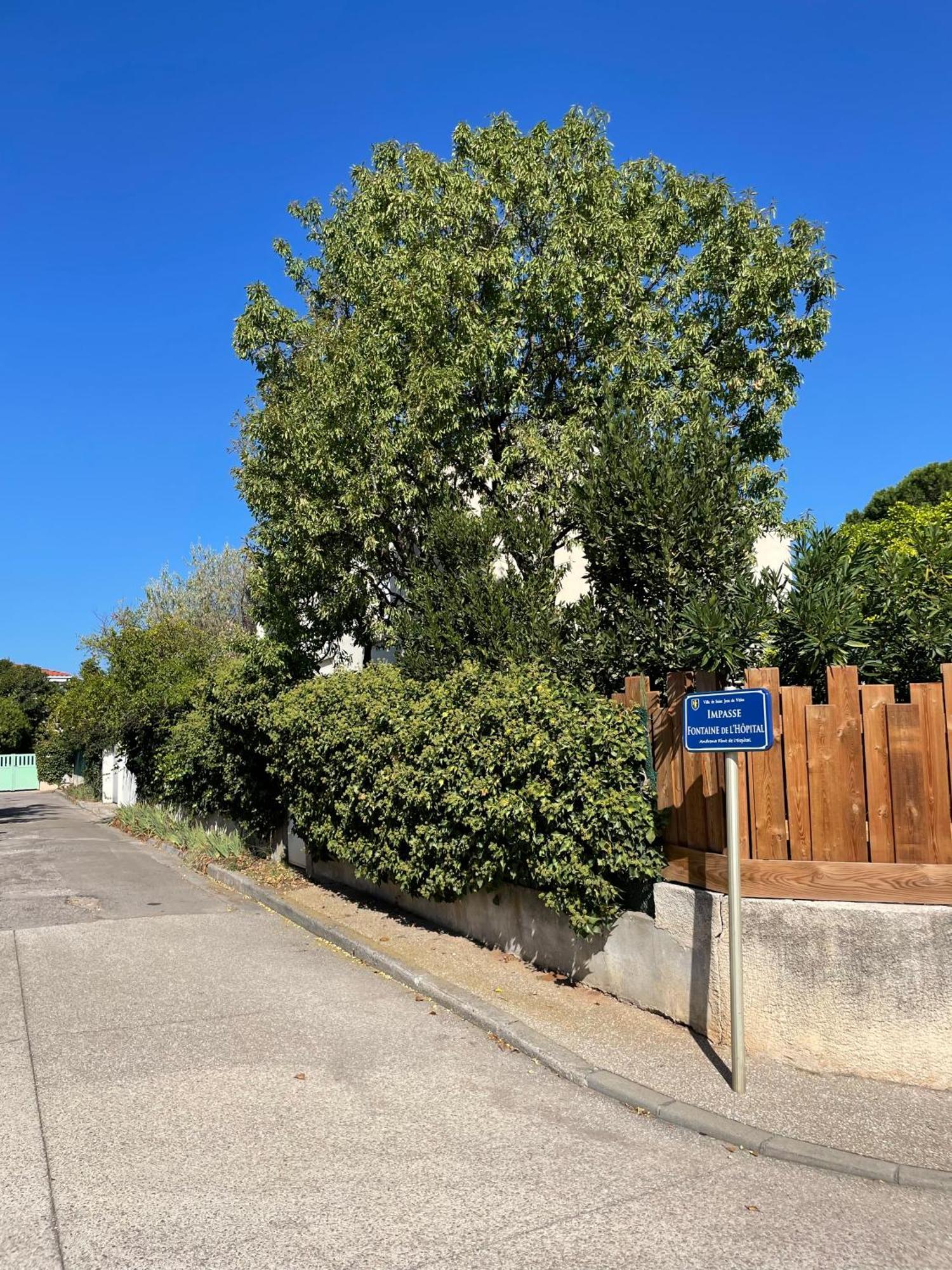 Le Pistachier - Maison Cozy Avec Jardin Privatif Saint-Jean-de-Védas Exteriér fotografie